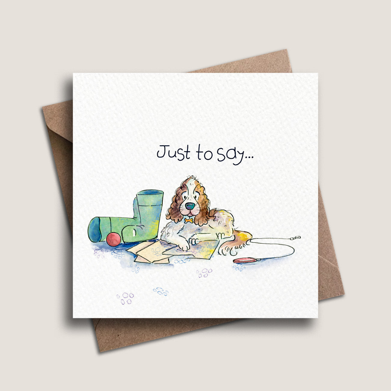 Just To Say...