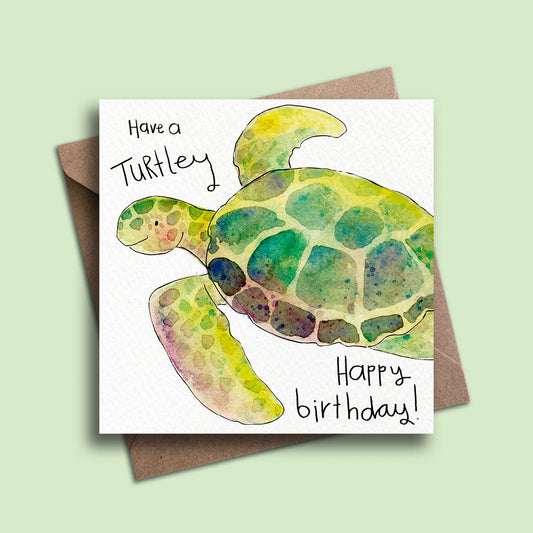 Birthday Turtle